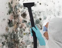 Best Residential Mold Inspection & Testing in Willmsburg, IA